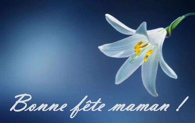 Fleur de lys blanche sur fond bleu avec texte 'Bonne fête maman !'