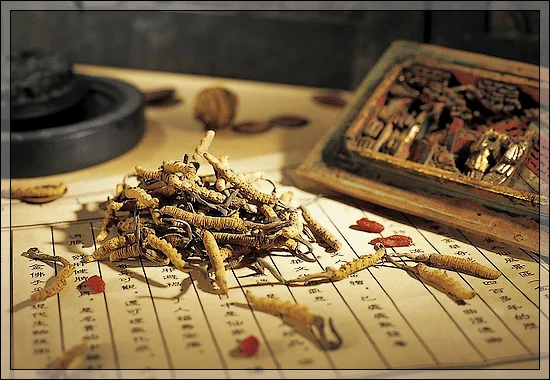 Le Qi gong Therapeutique, la Pharmacopée chinoise séchée sur un texte chinois traditionnel.