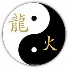 Symbole Yin-Yang avec caractères chinois dragon et feu