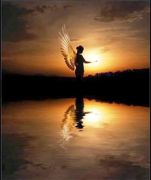 Silhouette d'un ange - passeur d'âme
