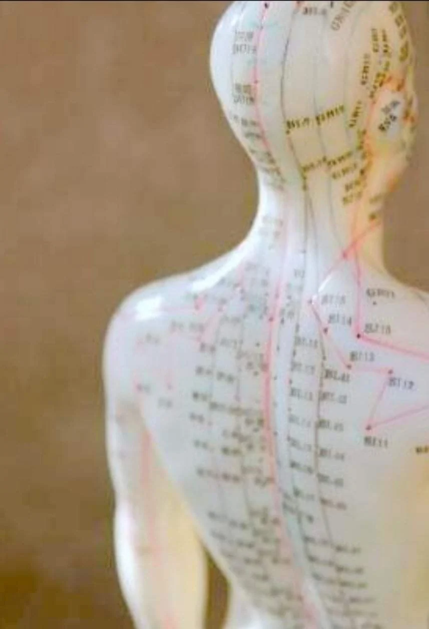 Moniteur d'acupuncture avec méridiens et points d'énergie